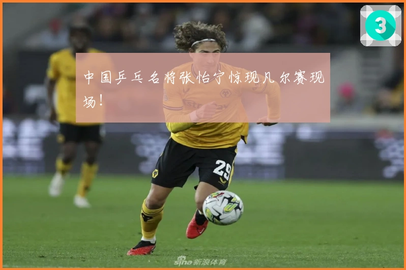 中国乒乓名将张怡宁惊现凡尔赛现场！